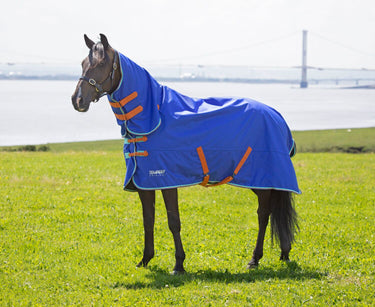 Buy the Shires Tempest Original 50g Royal Combo Turnout Rug | Online for Equine