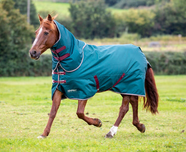 Buy the Shires Tempest Original 200g Turnout Rug & Neck Set | Online for Equine