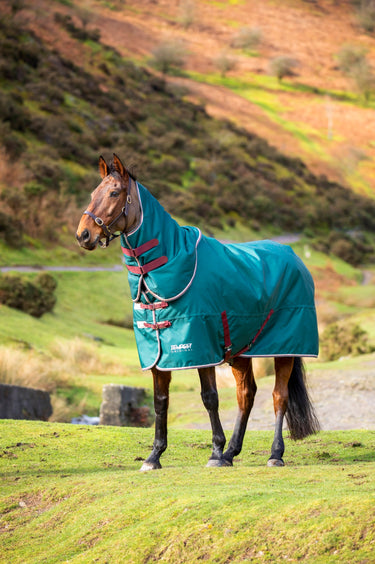 Buy the Shires Tempest Original 200g Turnout Rug & Neck Set | Online for Equine