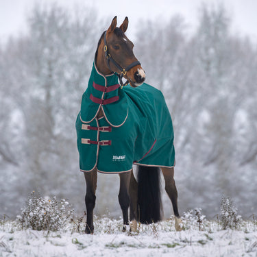 Buy Shires Tempest Original 200g Turnout Rug & Neck Set| Online for Equine