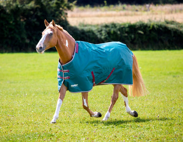 Buy the Shires Tempest Original 200g Turnout Rug & Neck Set | Online for Equine