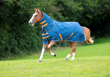 Buy the Shires Tempest Lite Teal Detachable Neck Turnout Rug | Online for Equine