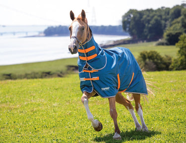 Buy Shires Tempest Lite Teal Detachable Neck Turnout Rug| Online for Equine