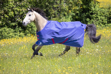 Buy Shires Tempest Original Air Motion Navy Lightweight Turnout| Online for Equine