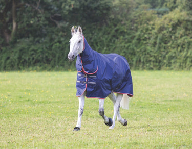 Buy Shires Typhoon 100g Combo Turnout Rug| Online for Equine