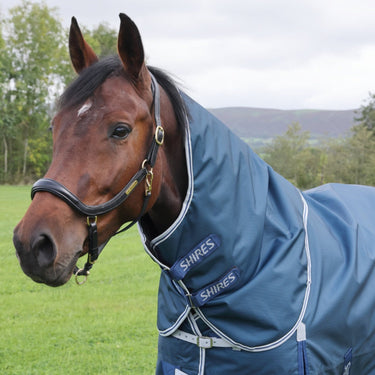 Buy Shires Highlander Original Ocean 50g Turnout Rug & Neck Set | Online for Equine