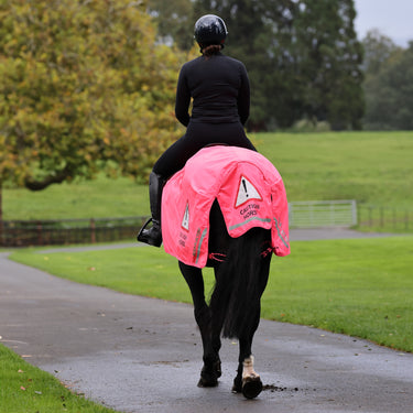 Buy the Shires Equi-Flector Pink Caution Horse Waterproof Exercise Sheet | Online for Equine