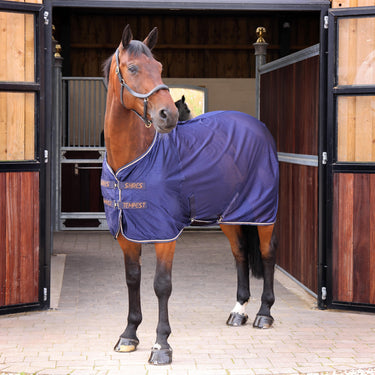 Buy Shires Tempest Original Navy Tech Mesh Cooler| Online for Equine