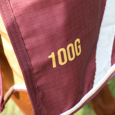 Buy Shires Highlander Plus 100 Turnout Rug | Online for Equine