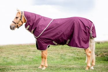 Buy Horseware Ireland Amigo Hero Ripstop Plus 100g Detachable Neck Fig Turnout Rug | Online for Equine