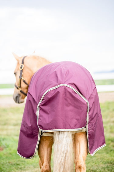 Buy Horseware Ireland Amigo Hero Ripstop Plus 100g Detachable Neck Fig Turnout Rug | Online for Equine