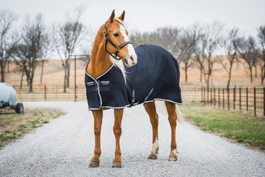 Horseware Ireland Rambo Navy Techni-Waffle Cooler Rug