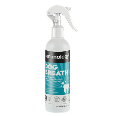 Buy Animology Dog Breath Dental Spray | Online for Equine