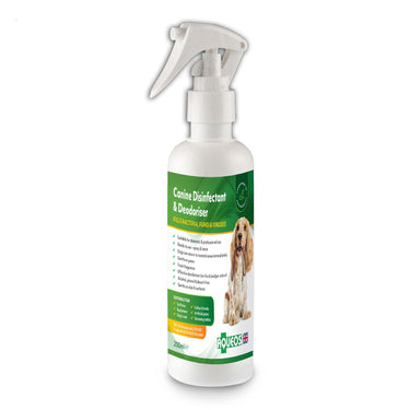 Buy Aqueos Canine Disinfectant & Deodoriser | Online for Equine