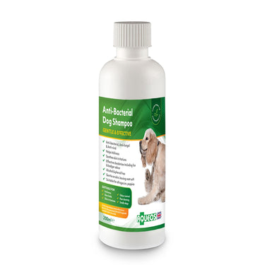 Buy Aqueos Anti-Bacterial Dog Shampoo | Online for Equine