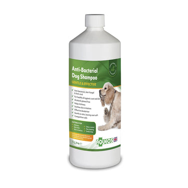 Buy Aqueos Anti-Bacterial Dog Shampoo | Online for Equine