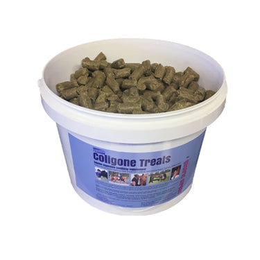 Buy Coligone Treats | Online for Equine