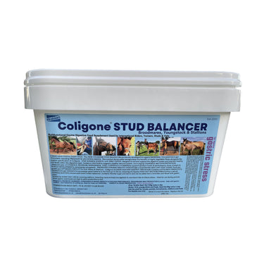 Buy Coligone Stud Balancer | Online for Equine