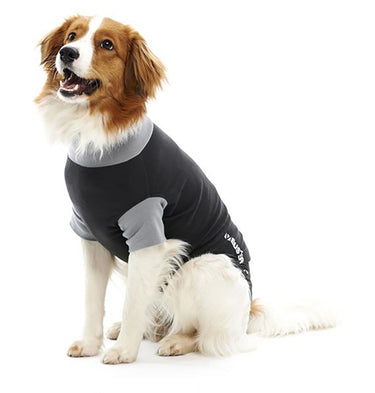 Buy Buster Body Suit For Dogs Black/Grey | Online for Equine