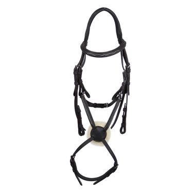 Buy EcoRider Ultra Comfort Galway Grackle Bridle| Online for Equine