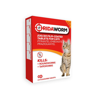 Buy Chanelle Ridaworm Cat Tablets | Online for Equine