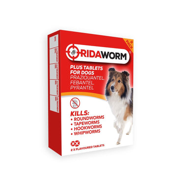 Buy Chanelle Ridaworm Plus Dog Tablets | Online for Equine