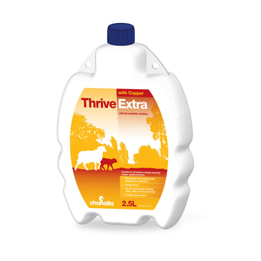 Buy Chanelle Thrive Extra + Copper | Online for Equine