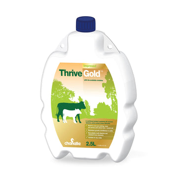 Buy Chanelle Thrive Gold | Online for Equine