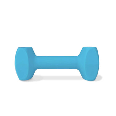 Buy Coachi Training Dumbbell | Online for Equine