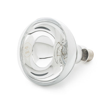 Buy Curalux Infrared 240V Reflector Lamb Bulb | Online for Equine