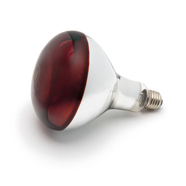 Buy Curalux Infrared 240V Reflector Lamb Bulb | Online for Equine