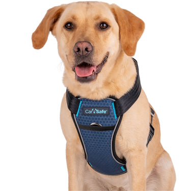 Buy Carsafe Crash Tested Dog Harness | Online for Equine