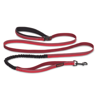 Buy Halti Active Lead Red | Online for Equine