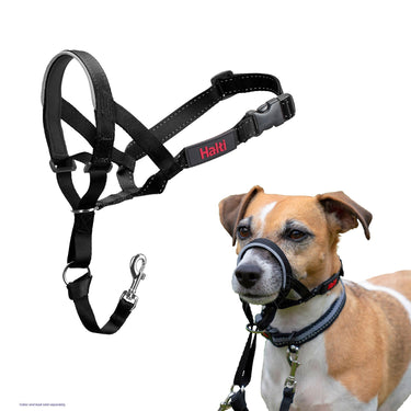 Buy Halti Headcollar Black | Online for Equine