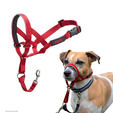 Buy Halti Headcollar Red | Online for Equine