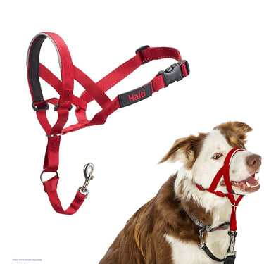 Buy Halti Headcollar Red | Online for Equine