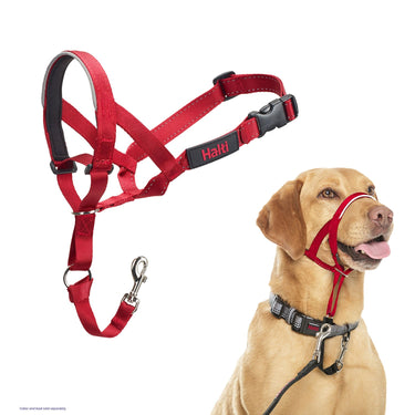 Buy Halti Headcollar Red | Online for Equine