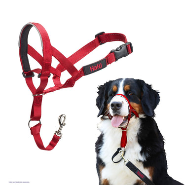 Buy Halti Headcollar Red | Online for Equine