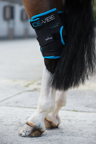 Buy Horseware Ireland Ice-Vibe Therapy Hock Wrap | Online for Equine