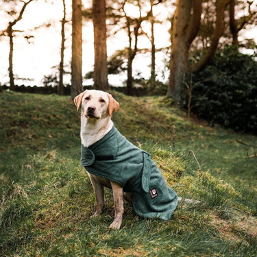 Buy Danish Design Dog Robe Towelling | Online for Equine