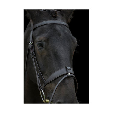 Buy Ecorider Classic Show Comfort Bridle | Online for Equine