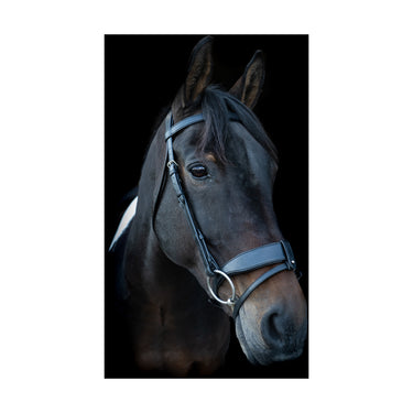 Buy Ecorider Classic Show Comfort Bridle | Online for Equine