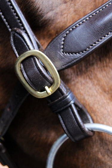 Buy Ecorider Classic Inhand Bridle | Online for Equine