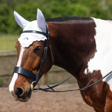 Gallop Classic Fly Veil