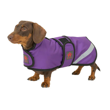 Buy Firefoot Outdoor Dachshund Coat With Fleecy Lining Navy | Online for Equine