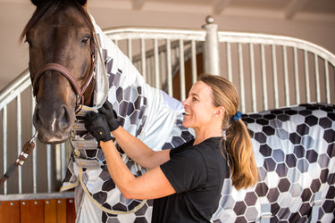 Buy Equilibrium Field Relief Fly Rug | Online for Equine