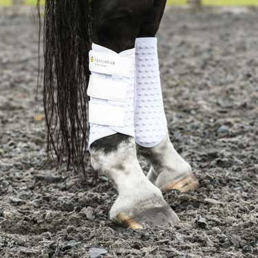 Buy Equilibrium White Stretch & Flex Flatwork Wraps | Online for Equine