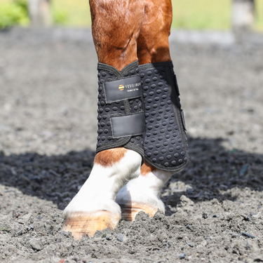 Buy Equilibrium Black Stretch & Flex Flatwork Wraps | Online for Equine