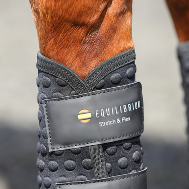 Buy Equilibrium Black Stretch & Flex Flatwork Wraps | Online for Equine