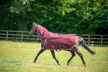 Gallop Trojan Xtra 350g Turnout Rug Combo